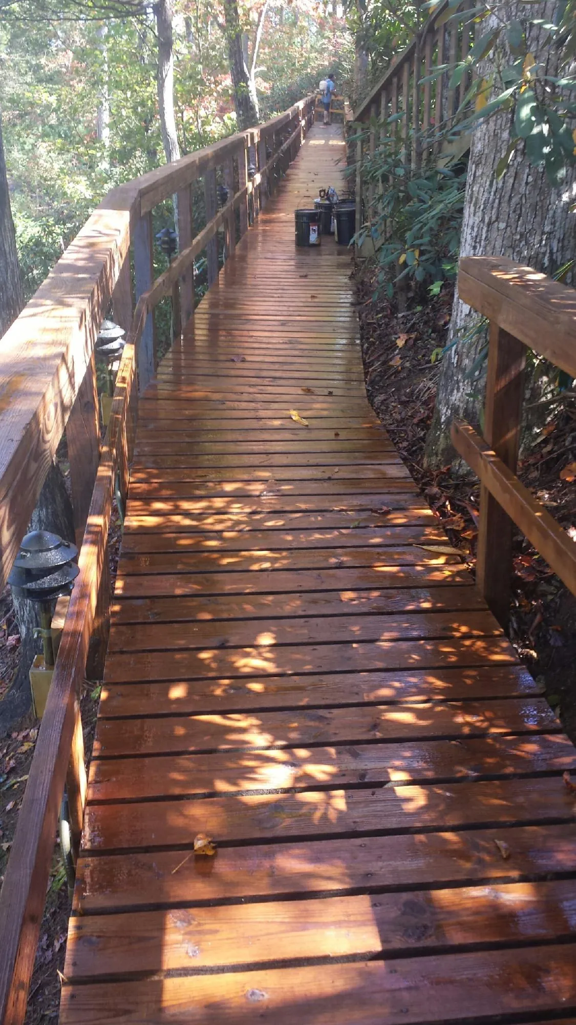 Freshly stained wood walkway winding through the woods in Utica